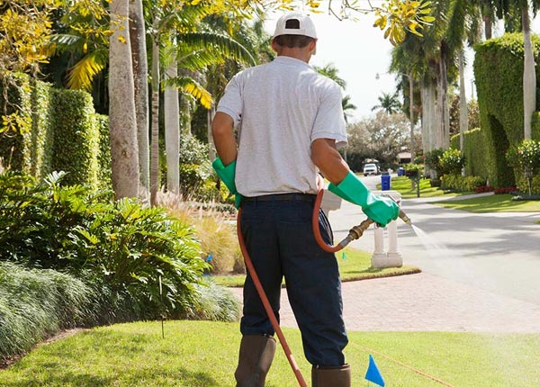 About Central UT Pest Control